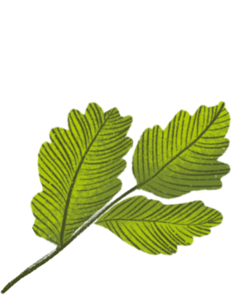 Green Leaf